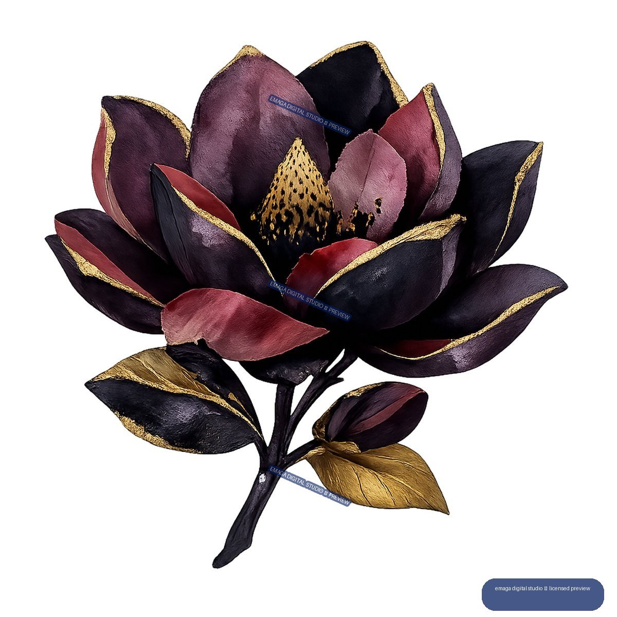 Open dark lotus flower with burgundy and plum petals, gold-edged leaves, a side bud, and a black stem.