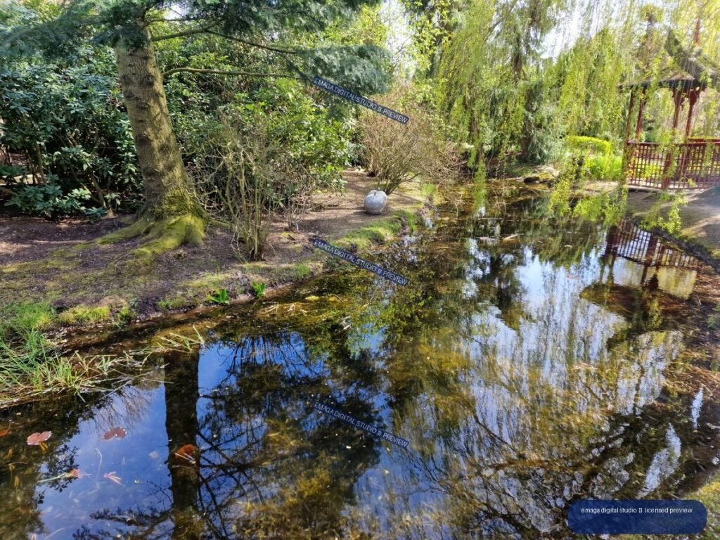 Reflective Garden Pond with Trees and Wooden Footbridge