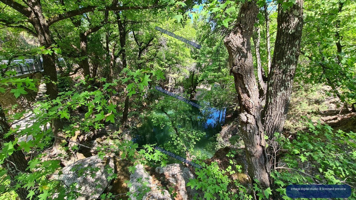 Woodland pond at Butterflies Natural Valley, Rhodes, Greece