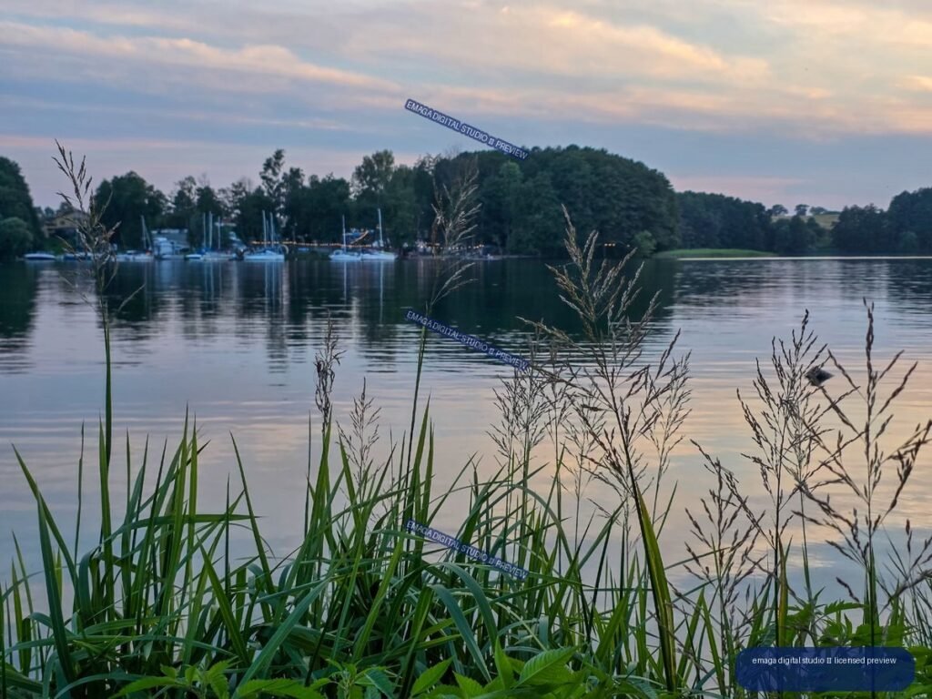 Dusk view across a calm lake with foreground reeds, a marina with sailboats, tree-lined shores, and a pastel sky.