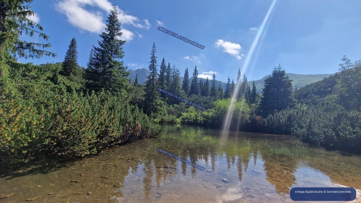 Clear shallow pond reflecting spruce trees beneath blue sky, with alpine slopes and a distant rocky peak beyond.