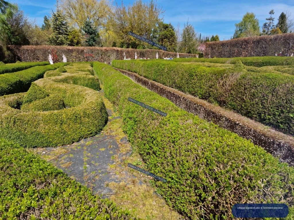 Formal clipped hedge garden at Hortulus Gardens, Dobrzyca, Poland