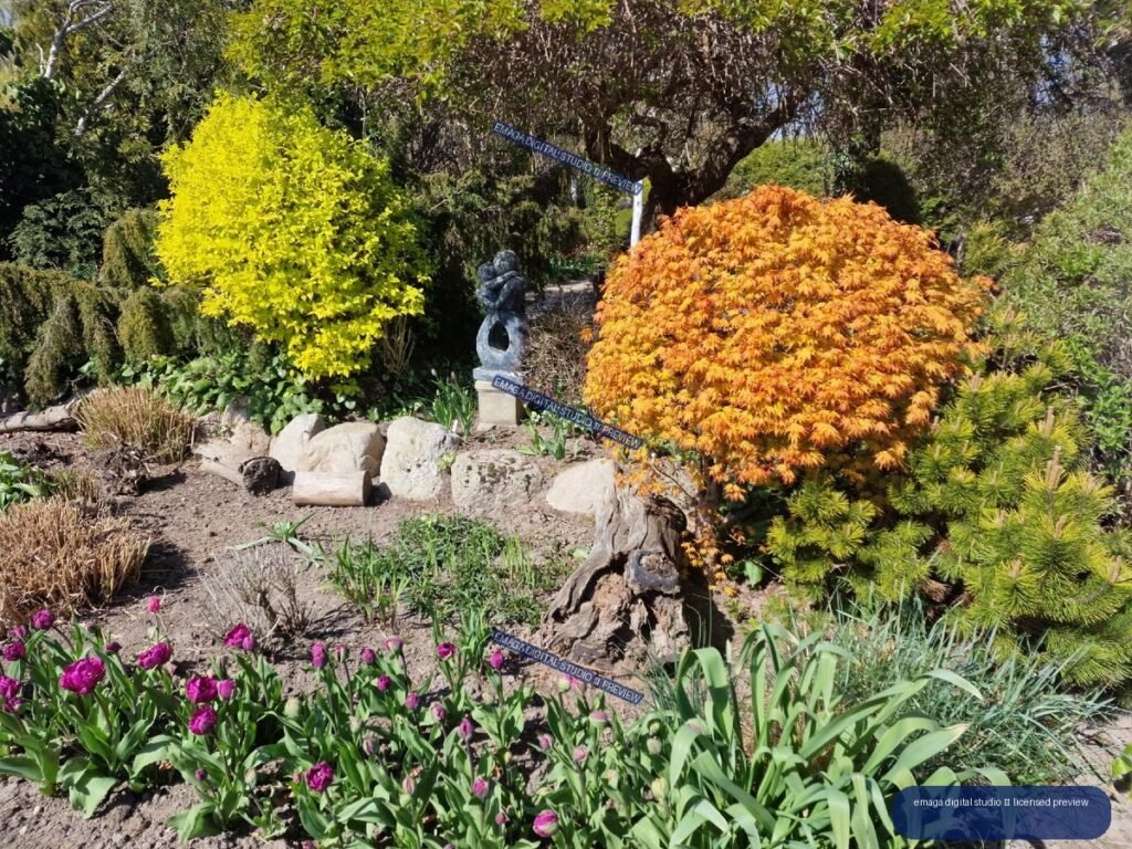 Colorful spring garden bed with flowering tulips and ornamental shrubs — Hortulus Gardens, Dobrzyca