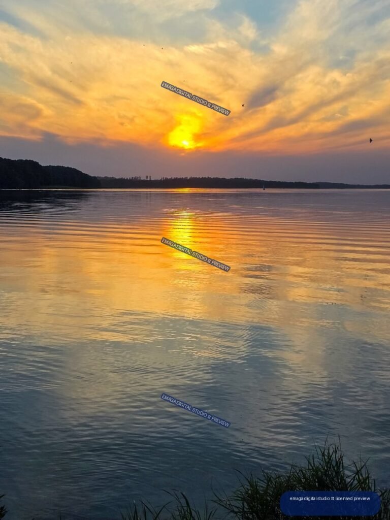 Golden sunset reflected on a calm lake with a dark tree-lined shore, birds in the sky, and grasses in the foreground.