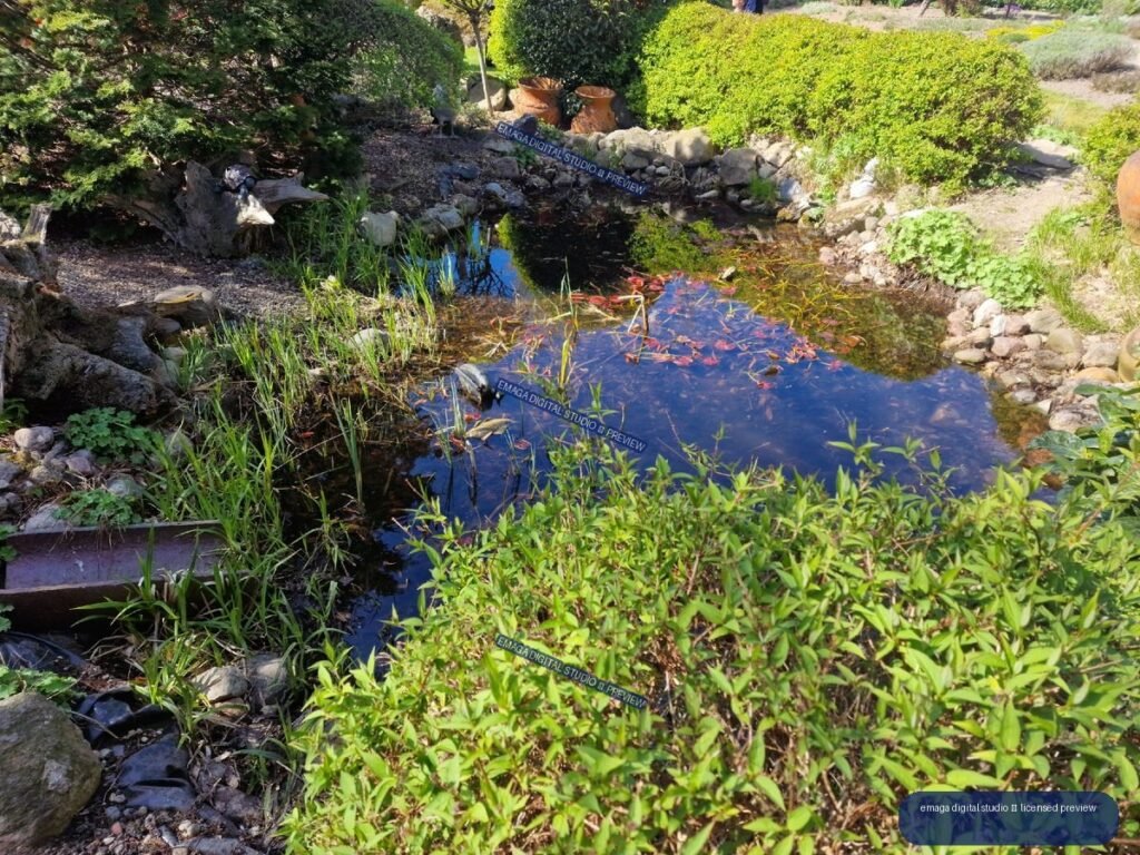 Hortulus Gardens in Dobrzyca, Poland with Reflective Garden Pond