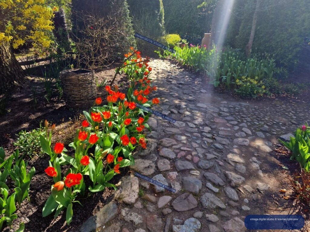 Spring Garden Path with Red Tulips at Hortulus Gardens, Dobrzyca, Poland