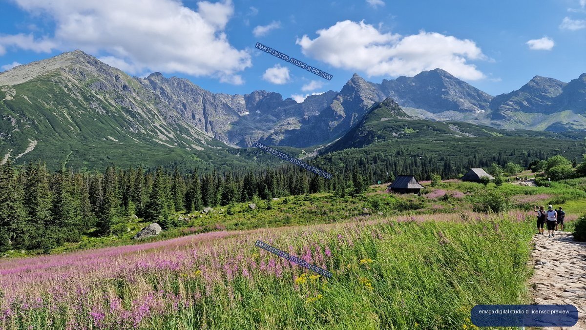 Hikers on a rocky trail through pink wildflowers, with conifer forest and rugged Tatra peaks under a blue, cloudy sky.