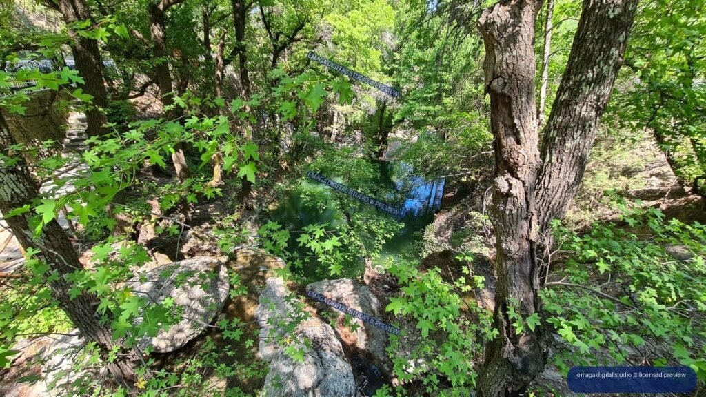 Sunlit Woodland Stream Framed by Trees and Green Foliage