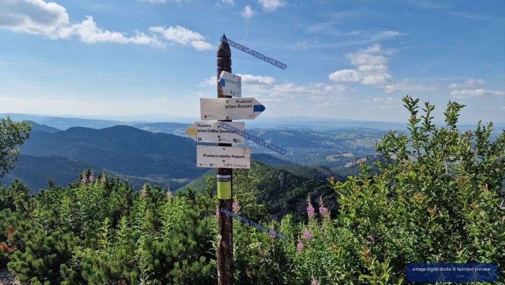 Trail signpost surrounded by alpine plants, with forested ridges, a valley, and distant mountains beneath a blue sky.
