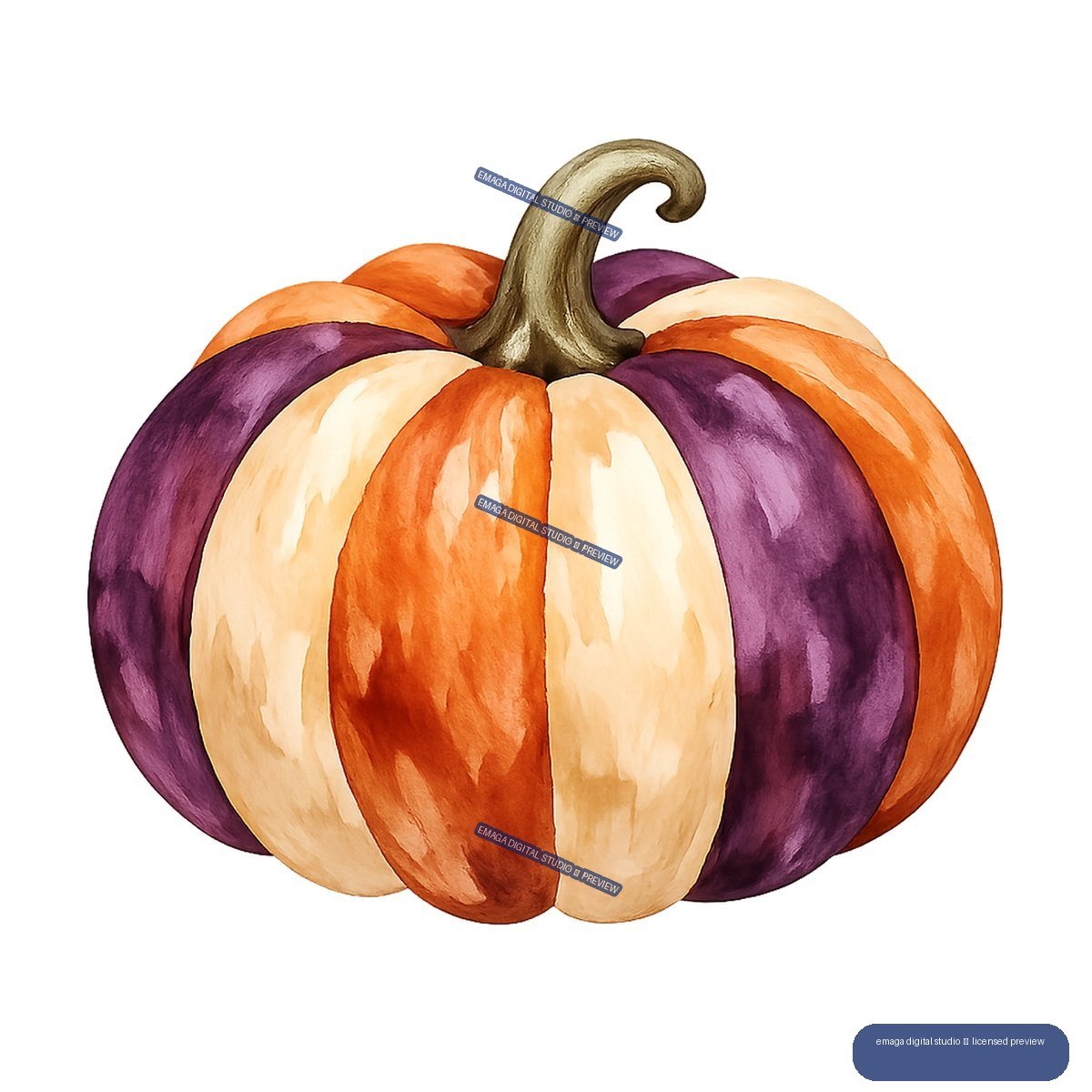 Watercolor illustration of a large striped orange, cream, and purple pumpkin with smaller pumpkins behind it and a curved stem.