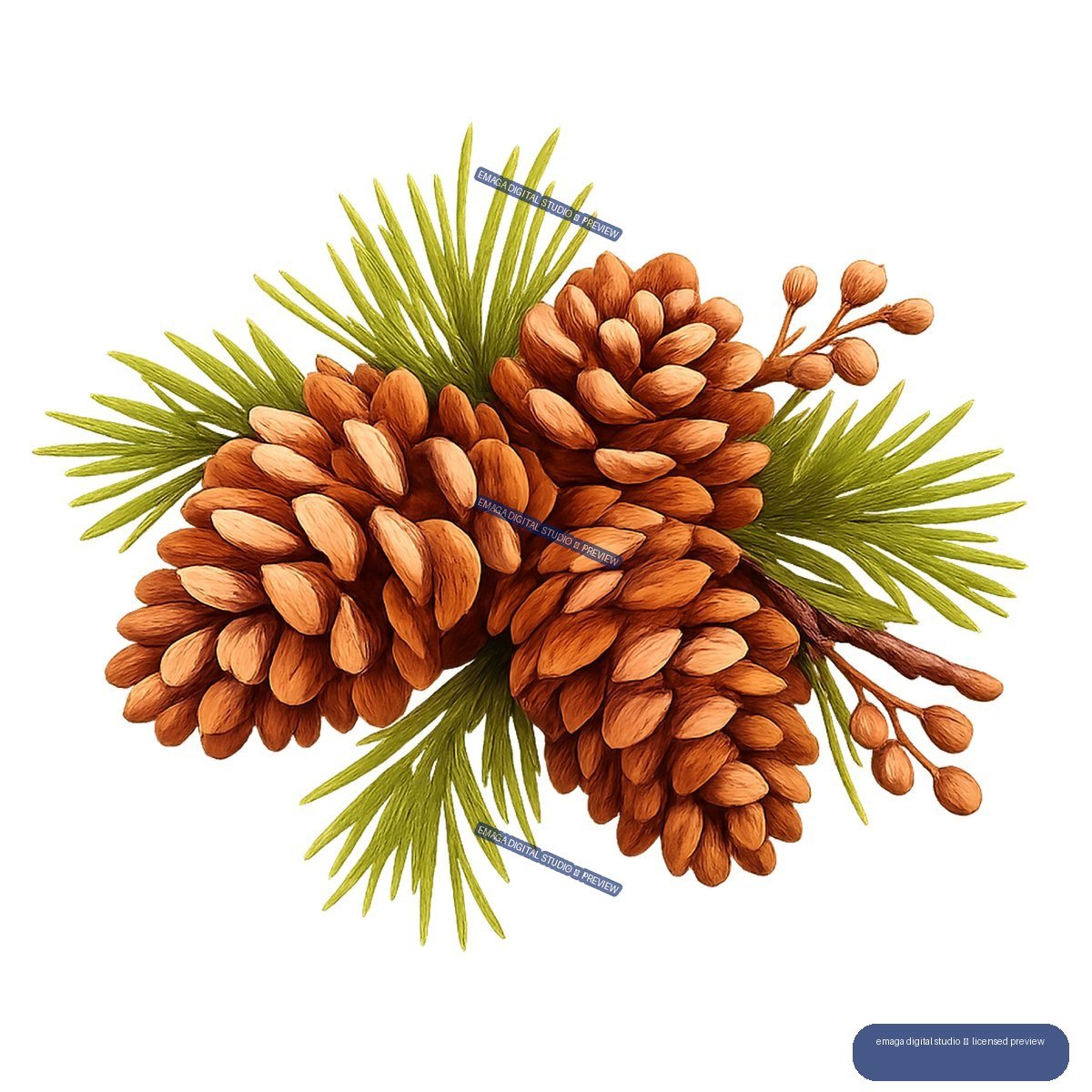 Cluster of brown pine cones with green evergreen needles and small brown seed pods on branching stems.