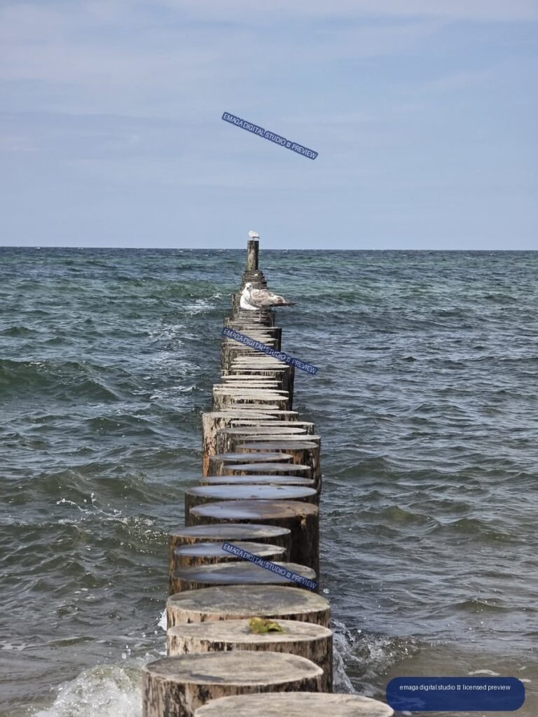 Weathered wooden breakwater leading through choppy sea toward the horizon, with seagulls perched on distant posts beneath a pale blue sky.