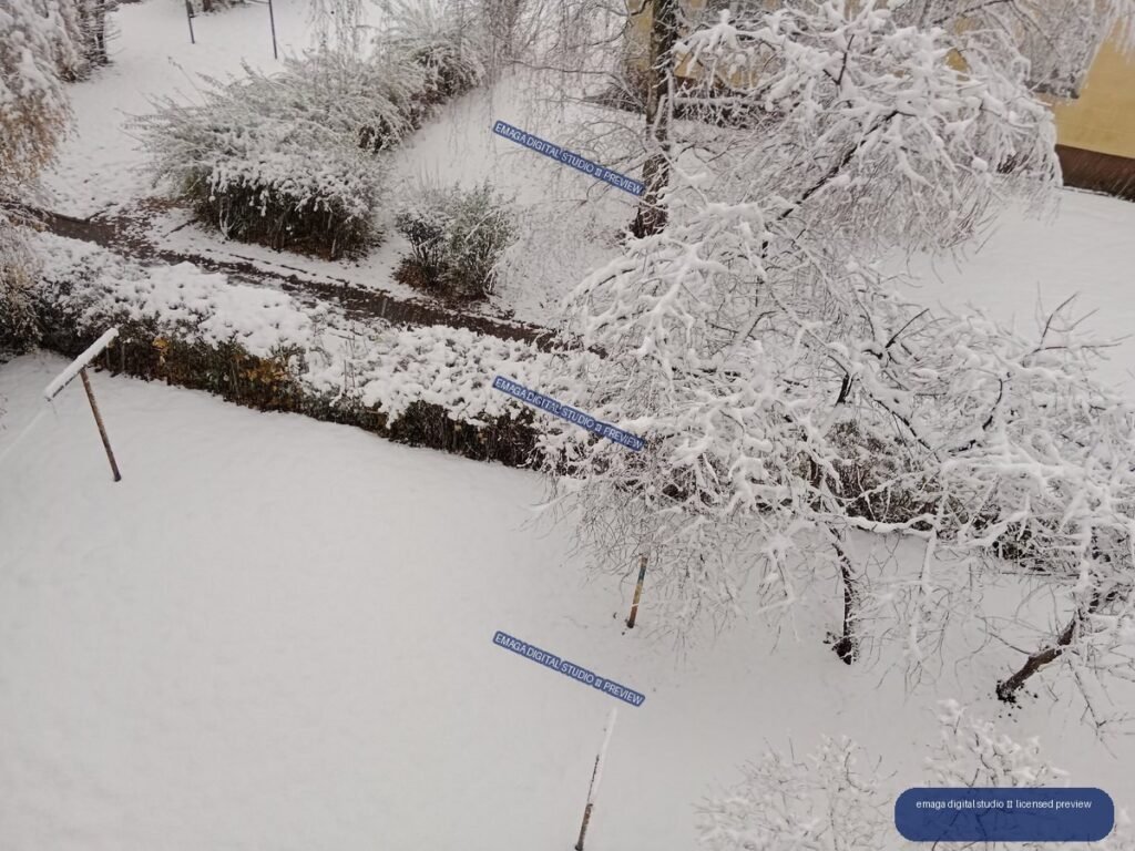Snow-covered garden with bare trees, hedges, paths, and a building edge after fresh snowfall.