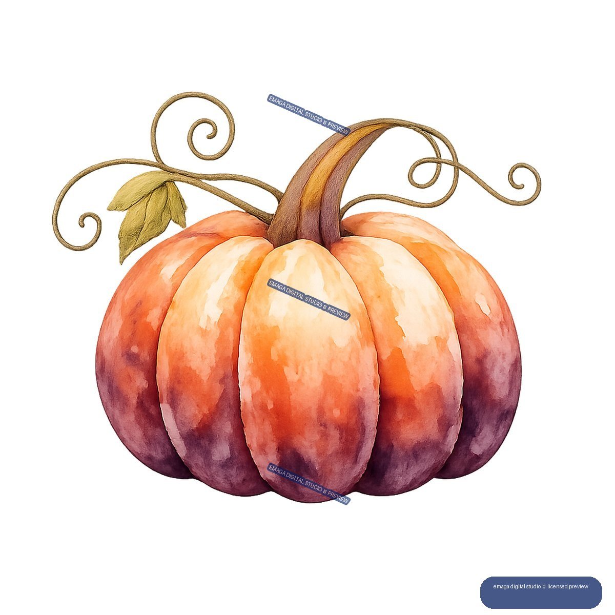 Watercolor illustration of a multicolored ribbed pumpkin with a tall curved stem, leaves, and curling vines.
