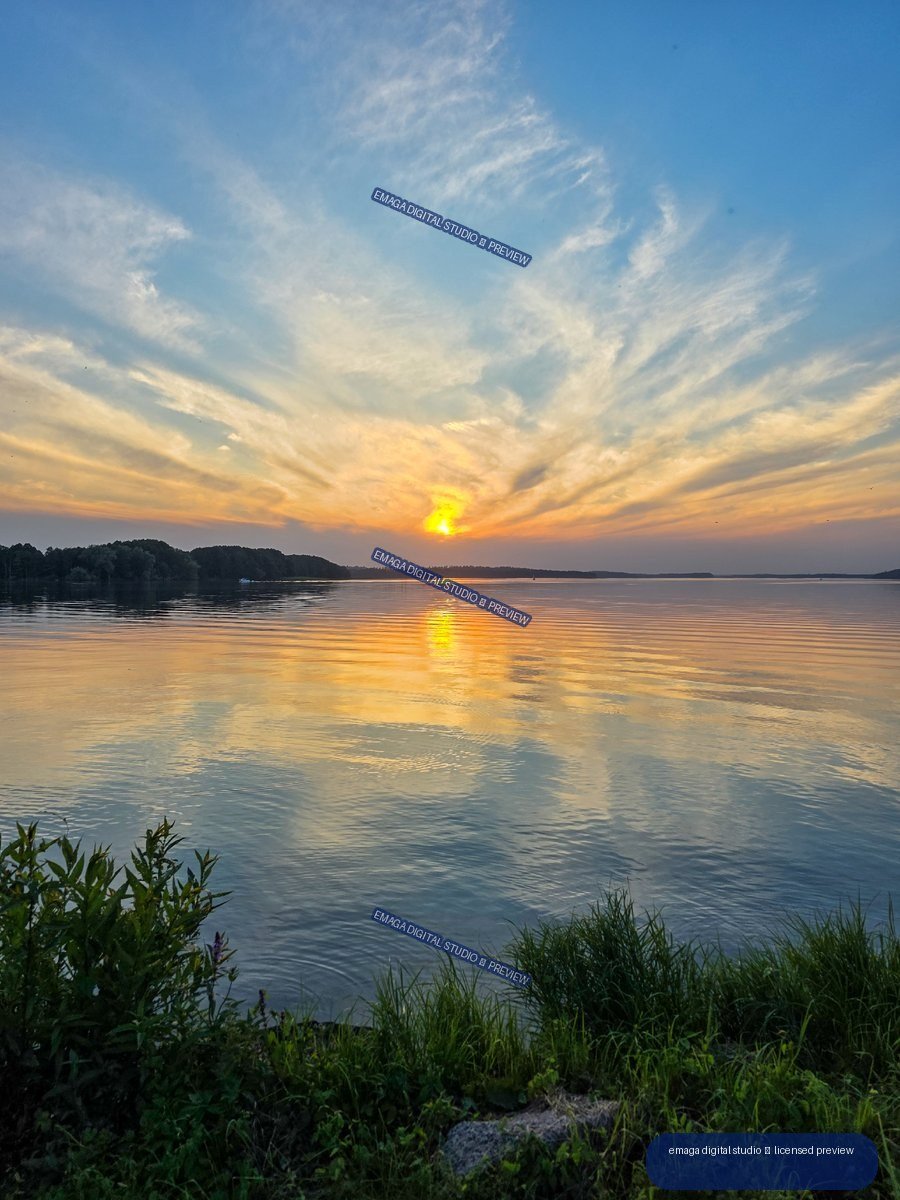 Sunset over a calm lake with a golden reflection, distant wooded shoreline, rippling water, and grassy foreground.