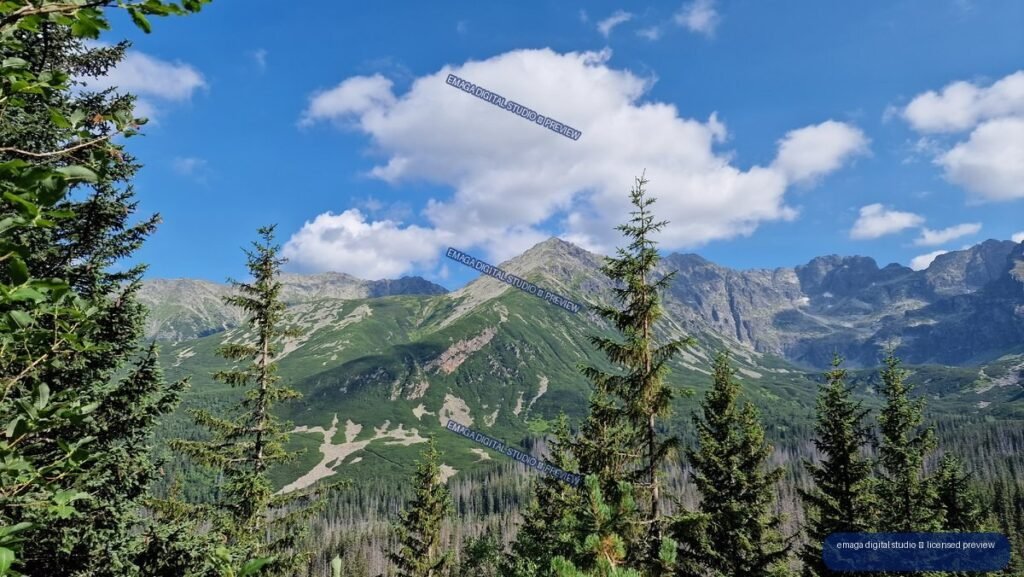 Rugged green Tatra peaks and a pointed central summit seen beyond evergreen trees under a blue, cloud-filled sky.
