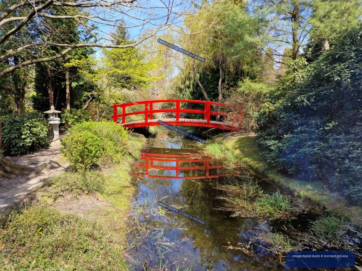 Red arched footbridge over a reflective garden stream