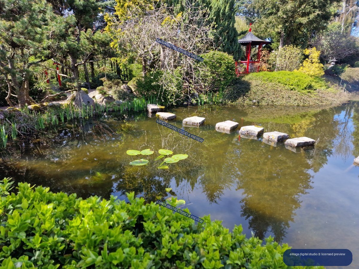 Landscaped Garden Pond with Stepping Stones and Red Pavilion