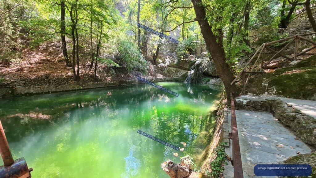 Sunlit Green Forest Pool with Small Waterfall and Stone Path