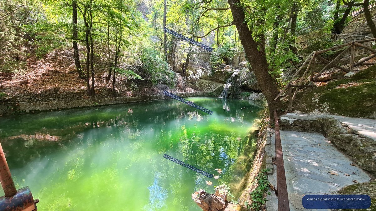 Sunlit Green Forest Pool with Small Waterfall and Stone Path