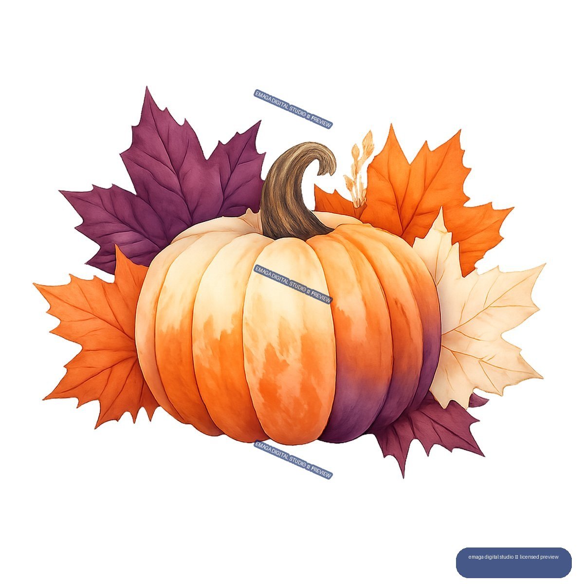 Watercolor illustration of a pale orange pumpkin with a curled dark stem surrounded by orange, cream, and purple autumn leaves.
