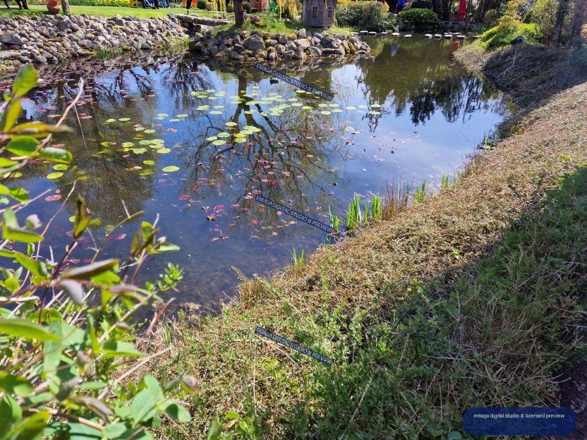 Garden pond with lily pads, rocks, and reflected trees — Hortulus Gardens, Dobrzyca