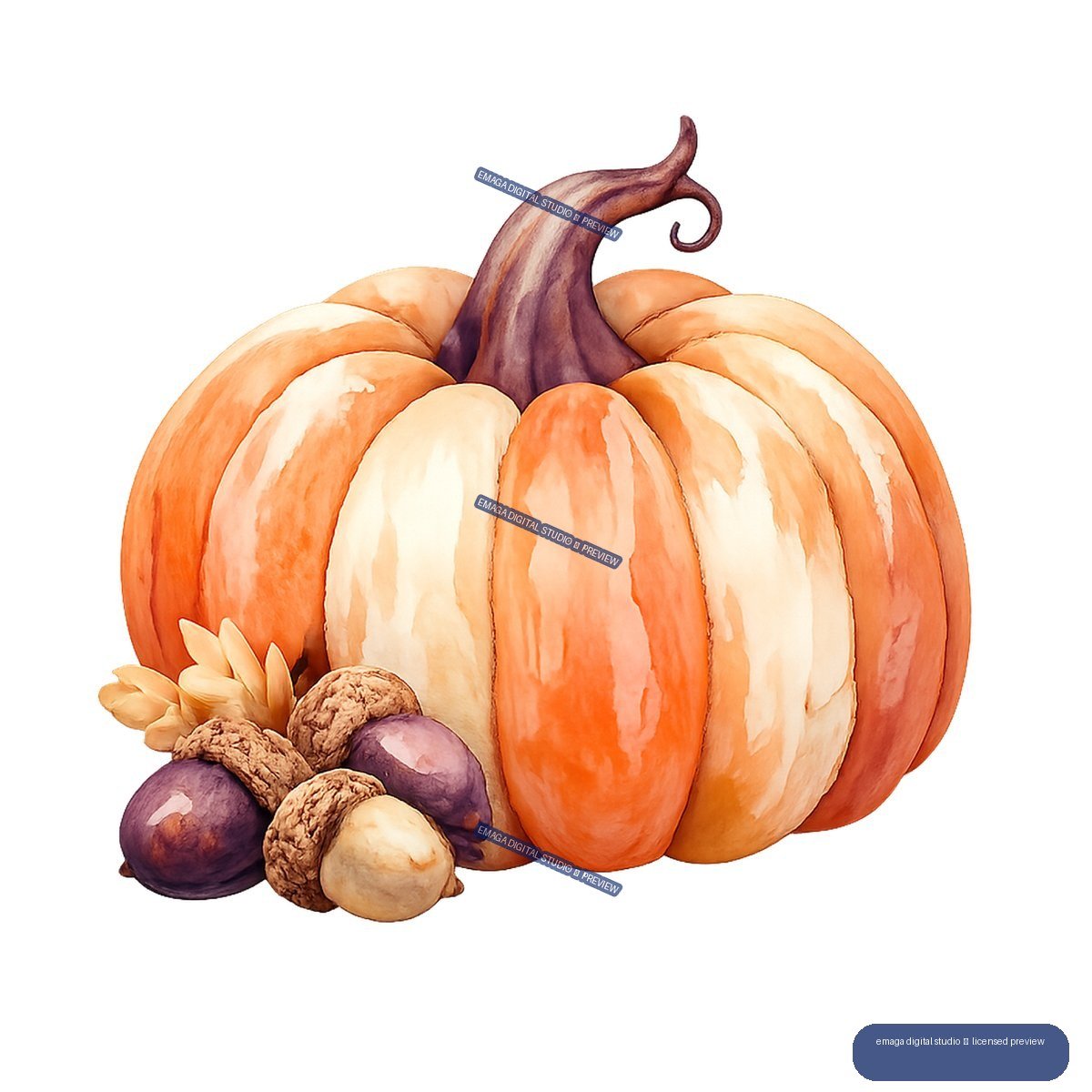 Large orange and cream pumpkin with a curling purple stem, surrounded by small gourds, acorns, and leaves.