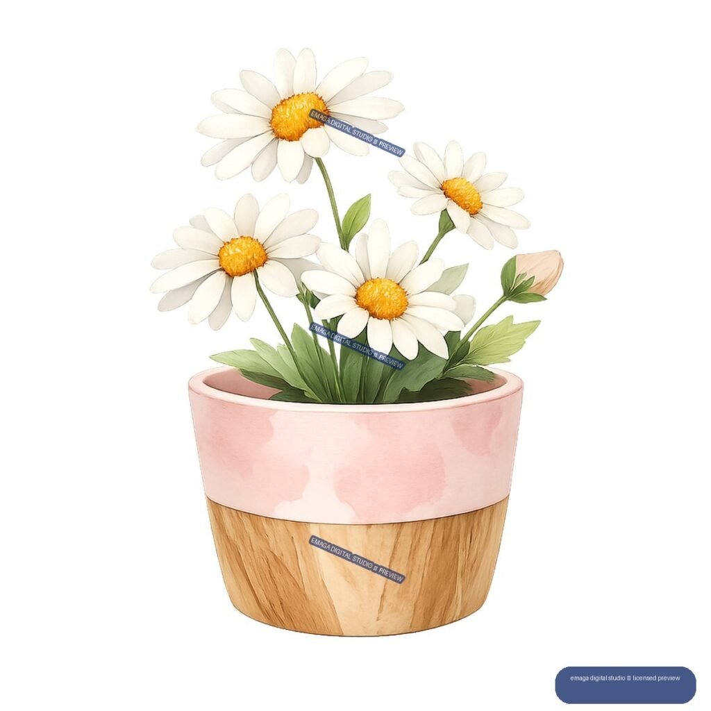 Watercolor illustration of several white daisies with yellow centers and green leaves growing in a pink and wood-grain planter.