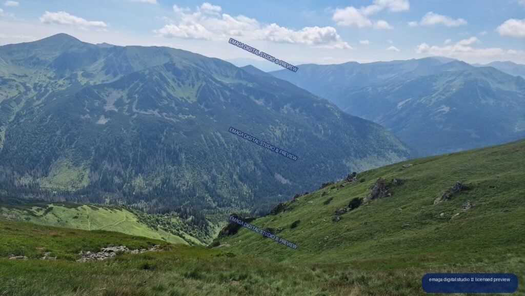 Panoramic view of green alpine slopes, a forested valley, and layered mountain peaks beneath scattered clouds.