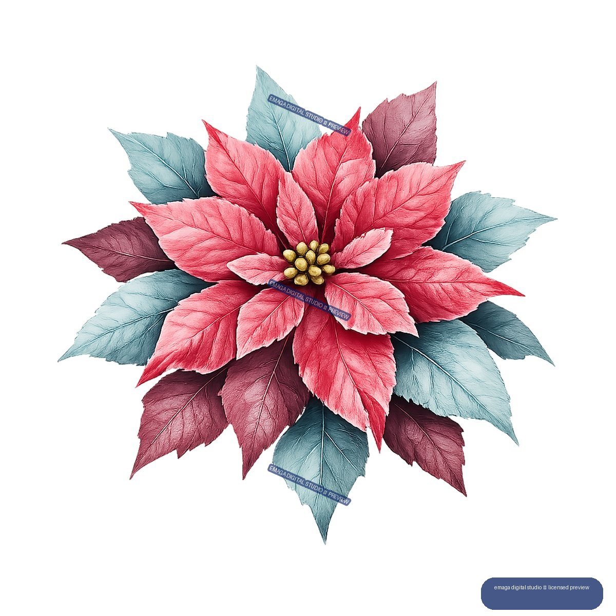 Stylized pink poinsettia-like flower with blue and burgundy leaves and golden center, isolated.