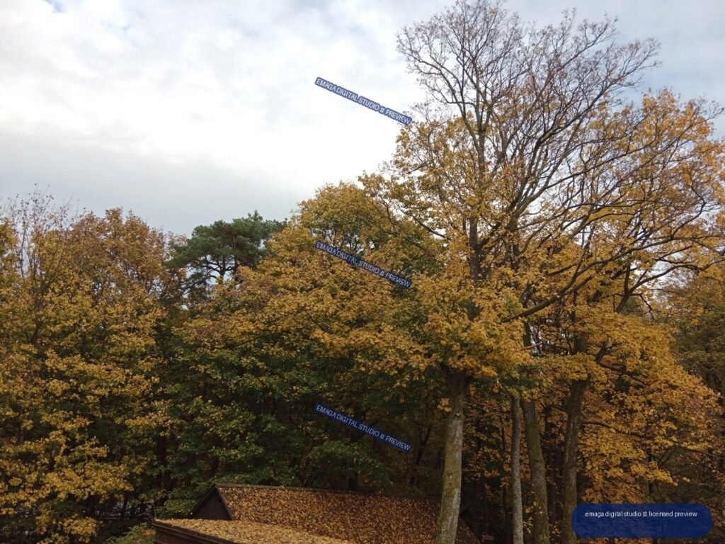 Golden autumn trees and dense woodland beneath an overcast sky, with a leaf-covered roof at the bottom.