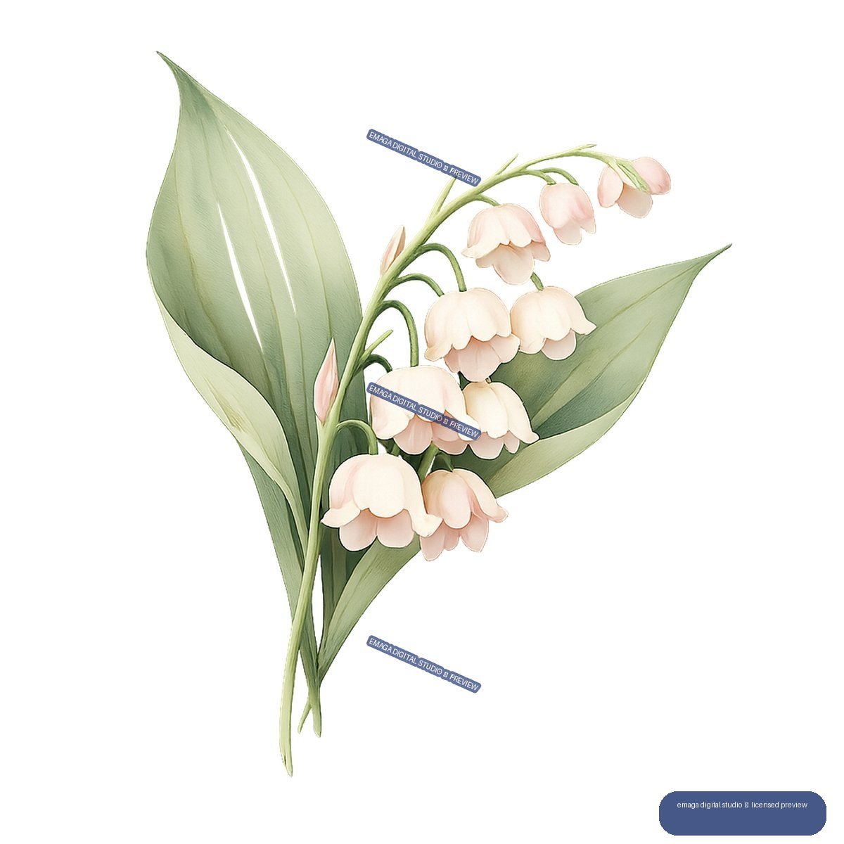Watercolor-style lily of the valley sprig with cream bell-shaped flowers, green leaves, and unopened buds.