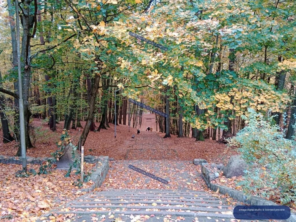 Stone steps and a descending path through a dense autumn forest covered with fallen leaves.