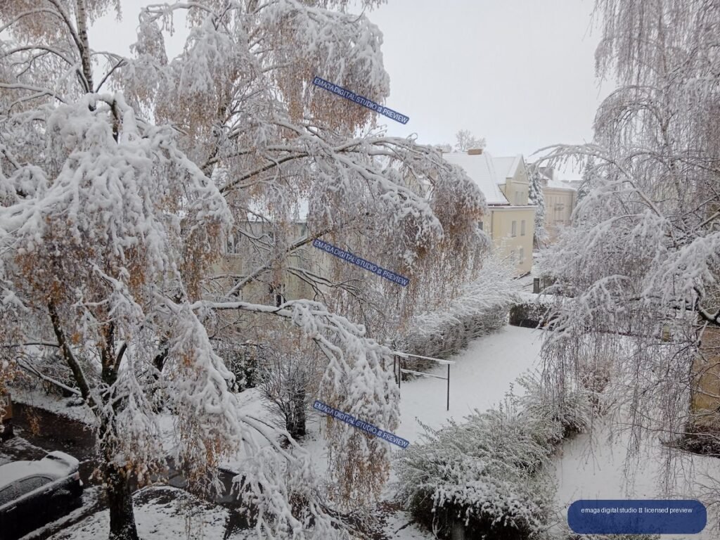 Snow-covered birch trees and shrubs surround a garden walkway and pale residential houses under an overcast sky.