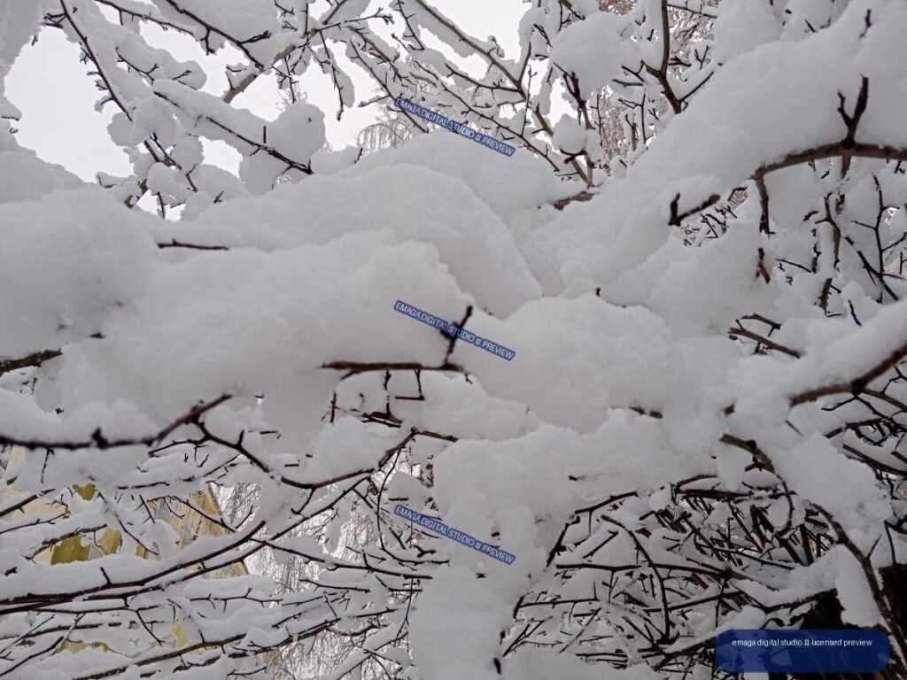 Close-up of bare tree branches heavily covered with thick white snow against a pale sky.