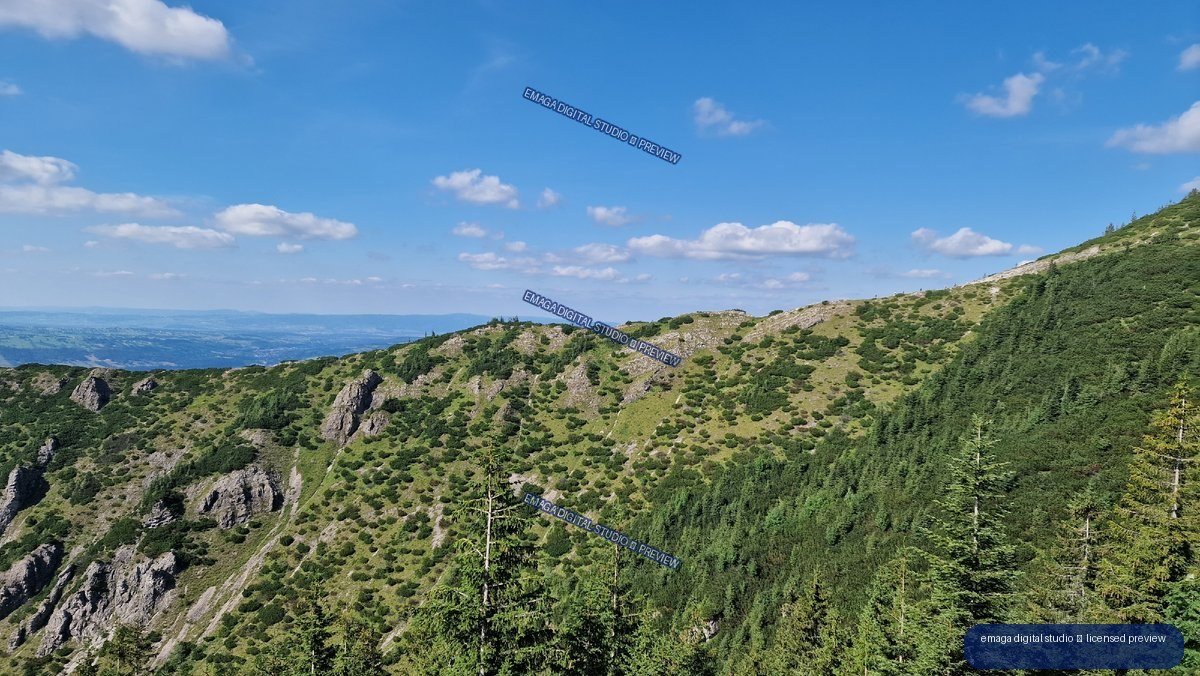 Panoramic view of a rocky green mountain ridge above dense conifer forest beneath a blue sky with scattered clouds.