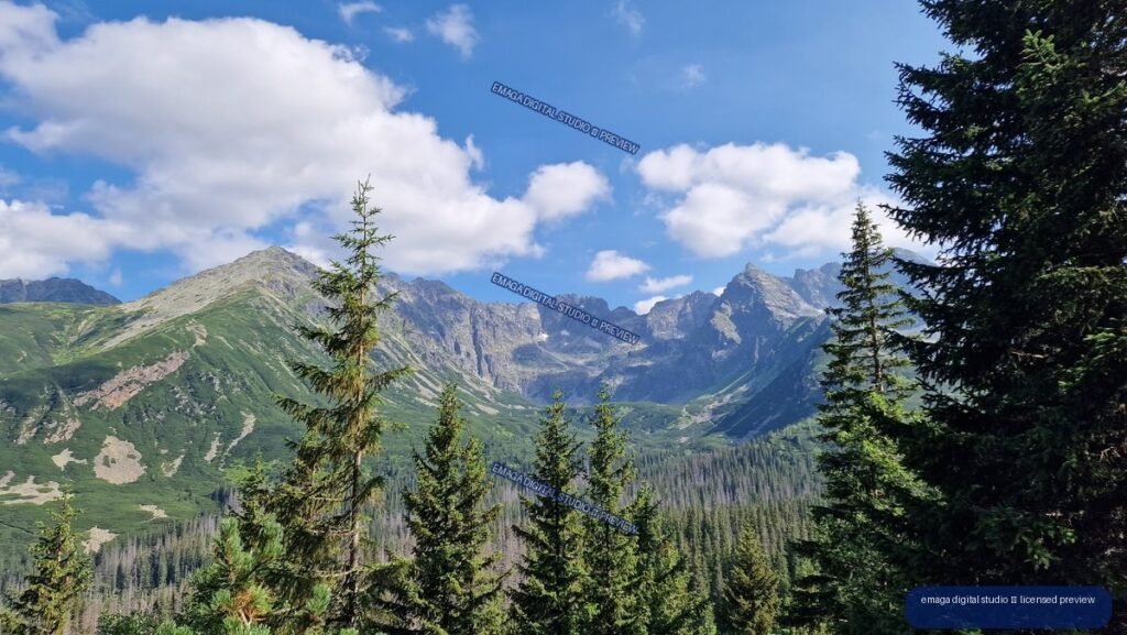 Panoramic view of rugged Tatra peaks and green slopes framed by spruce trees under a blue, partly cloudy sky.