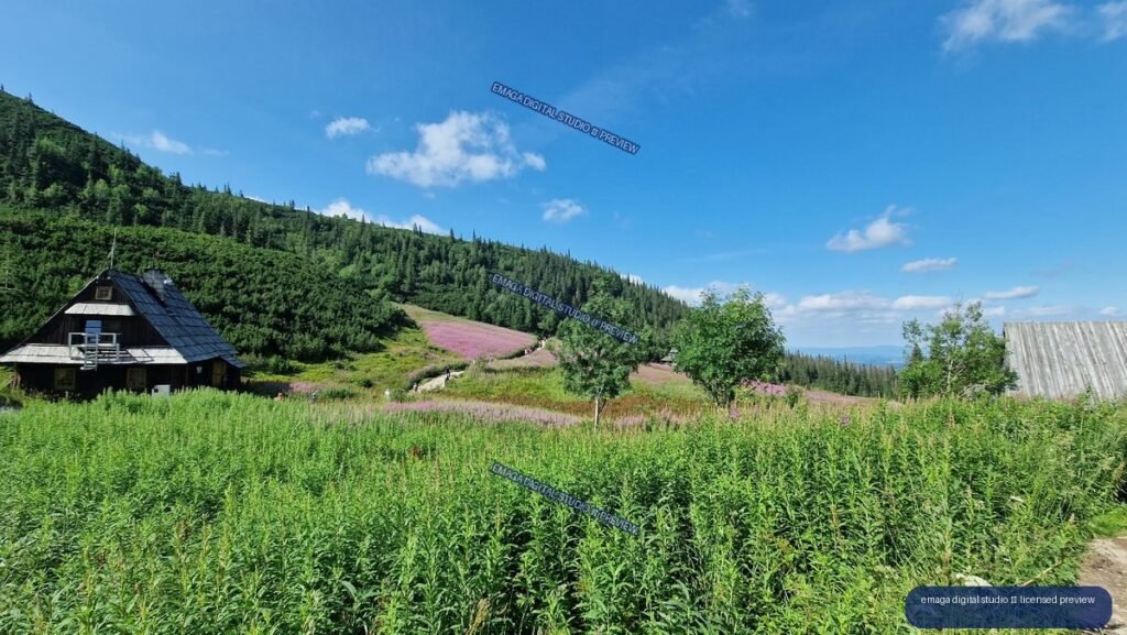 Rustic cabin beside a trail through pink flowering vegetation, with forested mountain slopes and a blue sky.