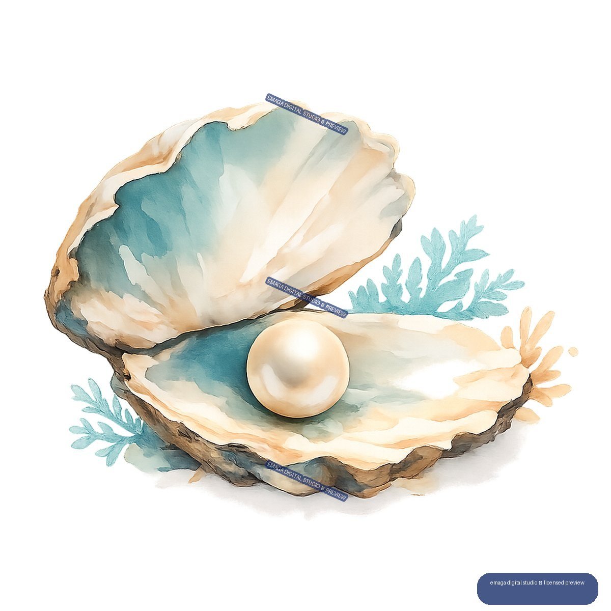 Watercolor illustration of an open oyster shell holding a round pearl, with turquoise and peach seaweed sprigs around it.