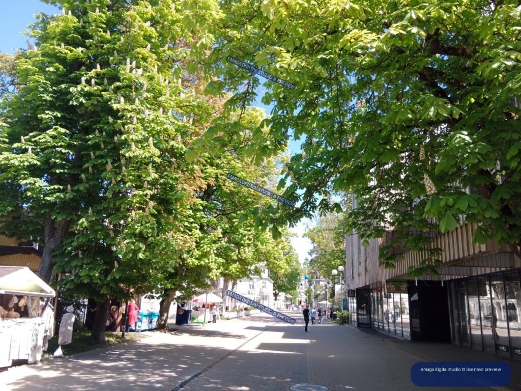 Tree-lined pedestrian shopping street in Jurmala, Latvia