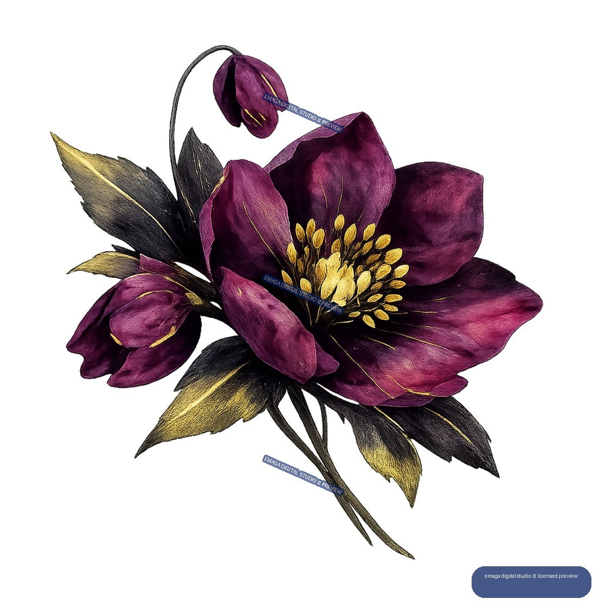 Dark purple flower with golden stamens, buds, black leaves, and gold accents.